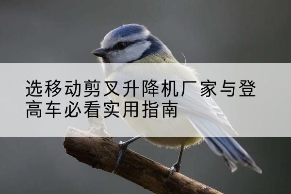 君山电动升降机厂家-选移动剪叉升降机厂家与登高车必看实用指南