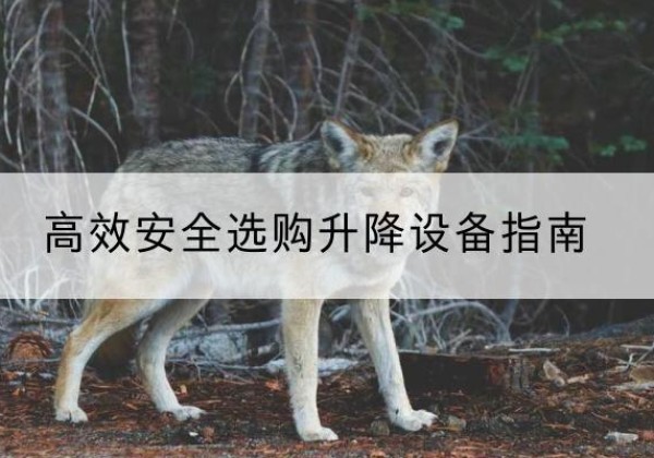 君山升降货梯厂家推荐-*安全选购升降设备指南
